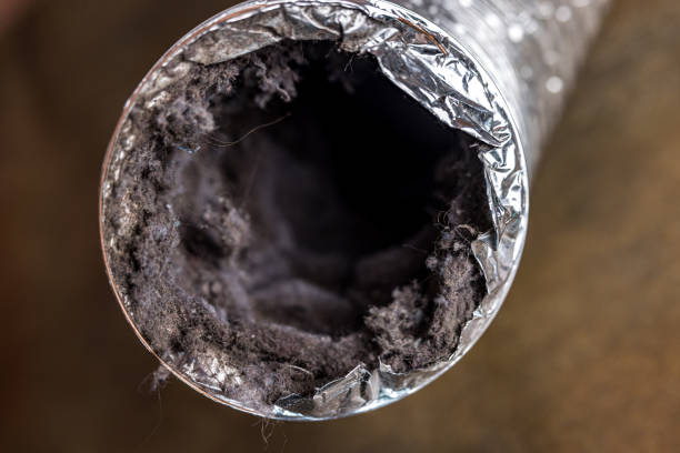 Best HVAC System Cleaning  in Dayton, IN